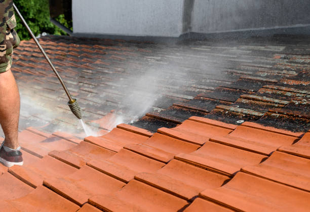 Best Residential Pressure Washing Services  in Neenah, WI